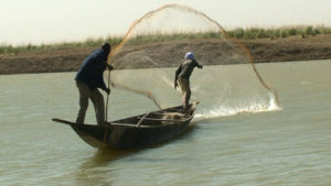 Fleuve Niger
